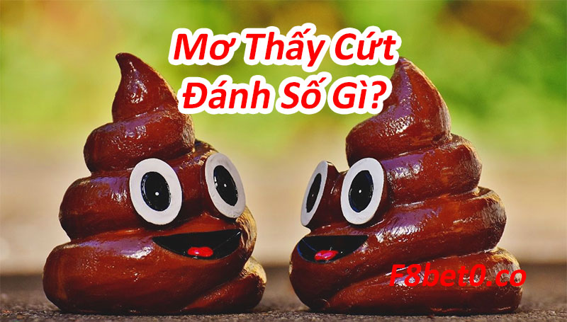 Nằm mơ thấy cứt đánh con gì?